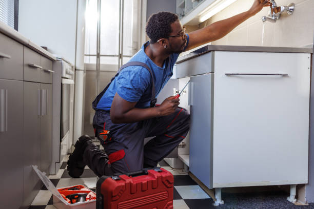 Best Plumbing Services Near Me  in North Les, AK